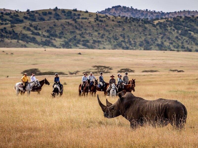 Offbeat Safaris riders on horseback crossing the Masai Mara plains with zebra herds