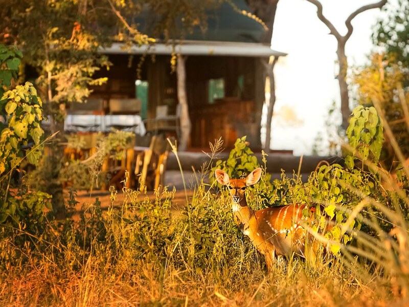 Riders silhouetted against the Okavango Delta sunset during an evening ride