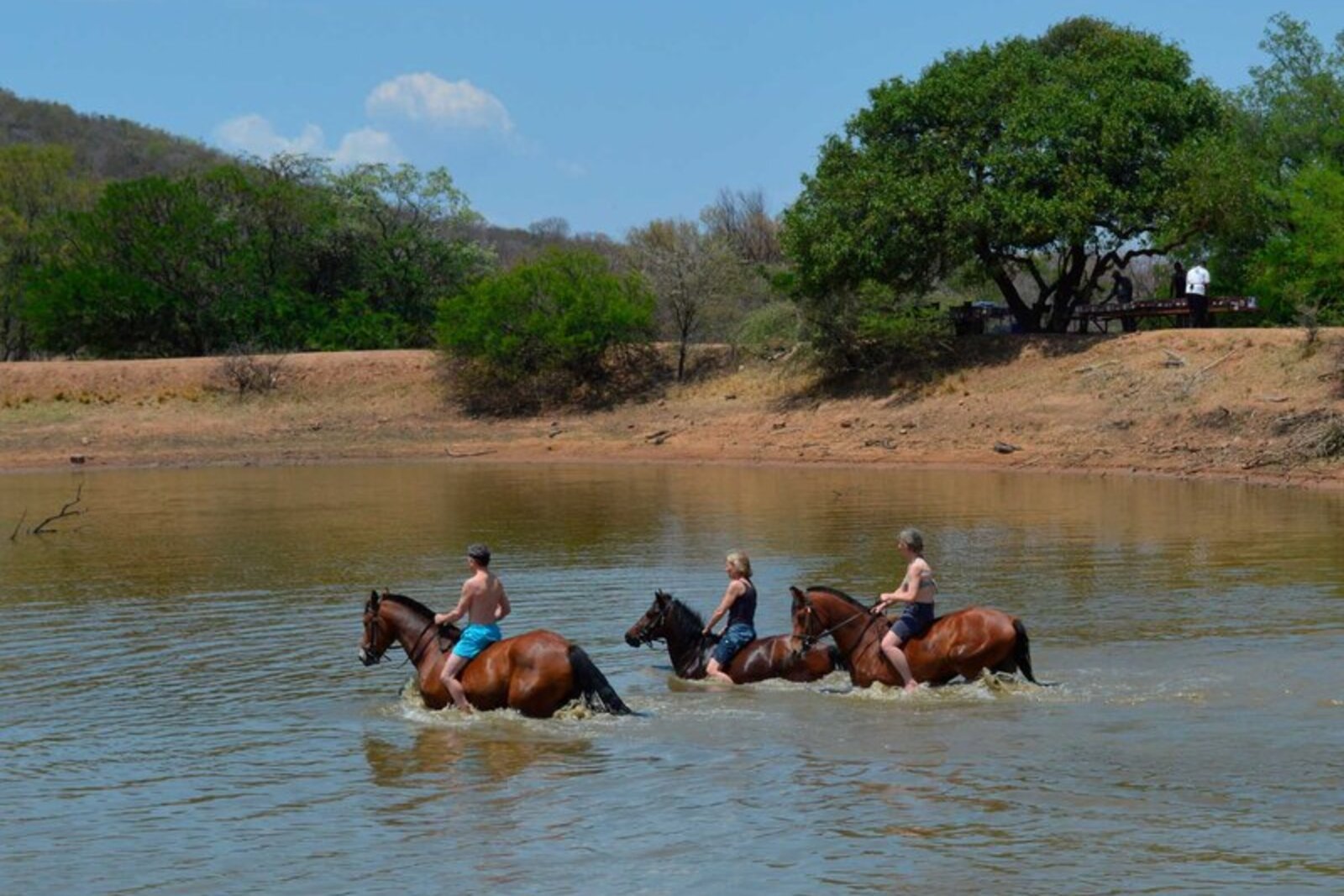 Riders swimming their horses across a dam at Ant's Nest in the Waterberg