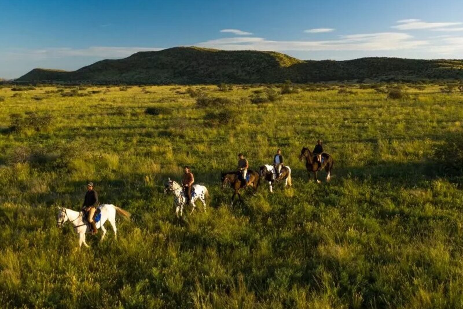 Riders cantering across green Kalahari grassland at Tswalu in the Northern Cape
