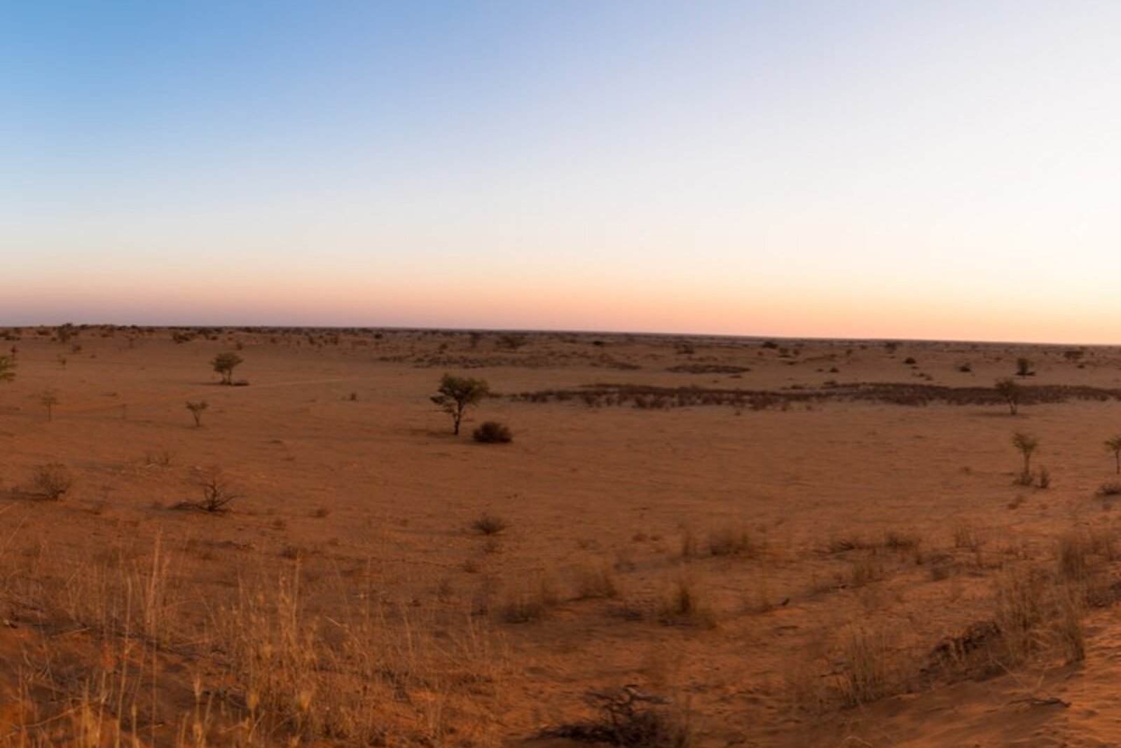 Open Kalahari plain at dawn on a Tswalu riding safari in the Northern Cape