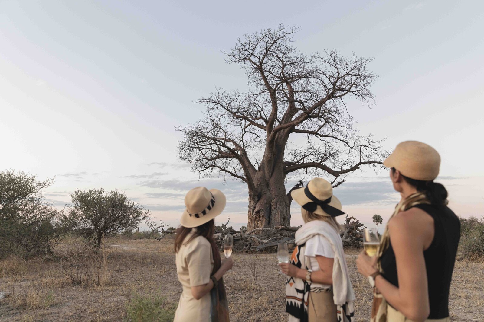 A golden-hour moment beneath a baobab tree on a Serengeti luxury couples safari