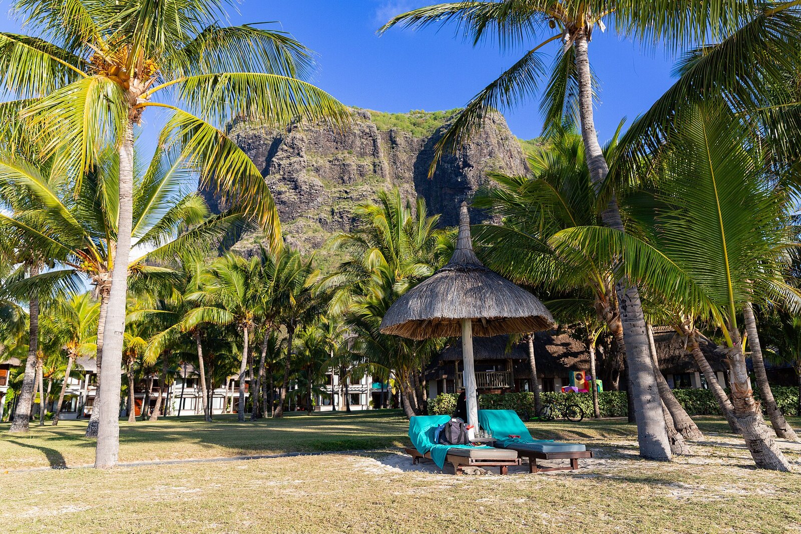 Palm trees, a thatched pavilion and Le Morne mountain on a beach in Mauritius