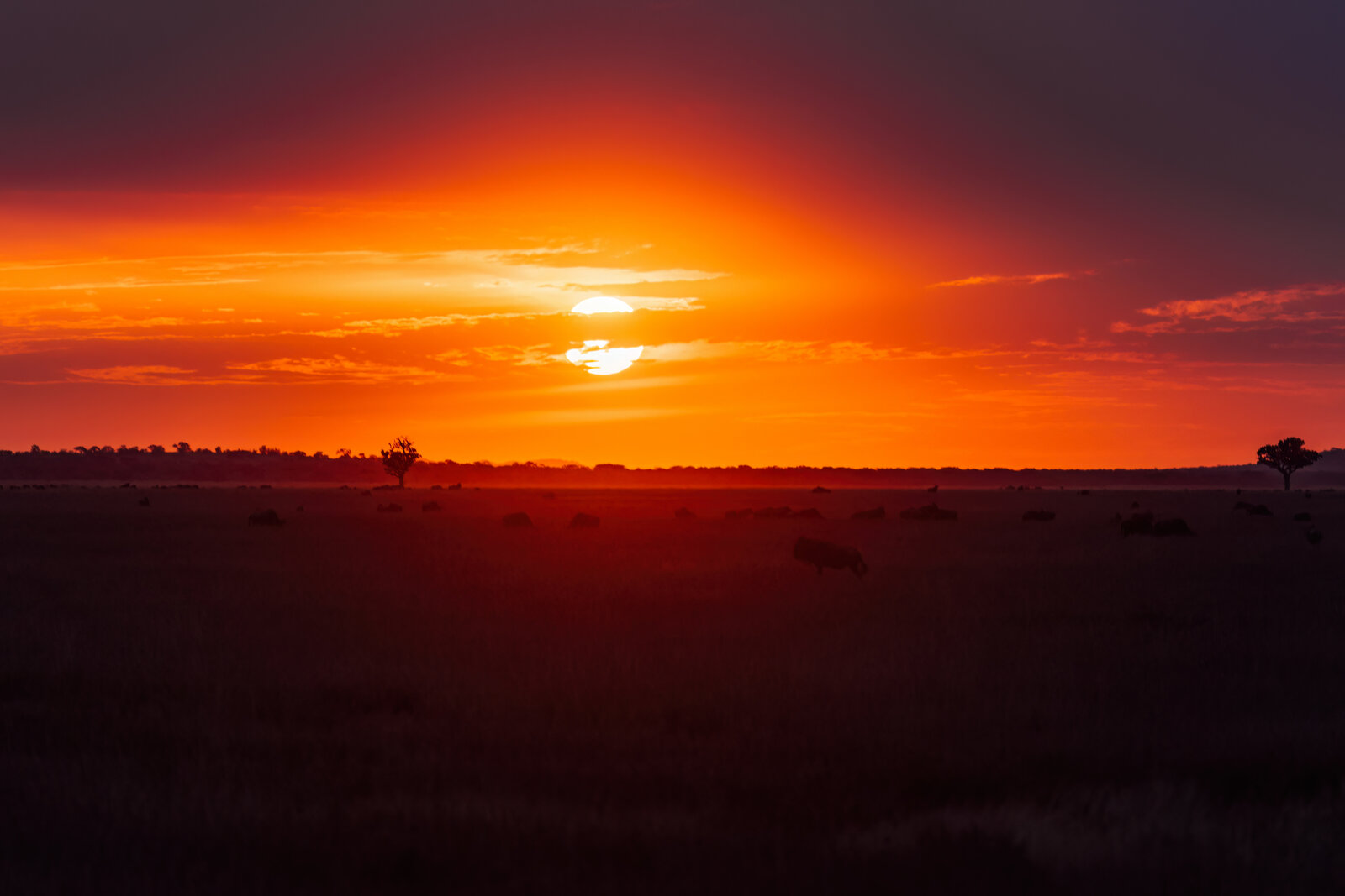 Serengeti sunset over the plains, romantic safari