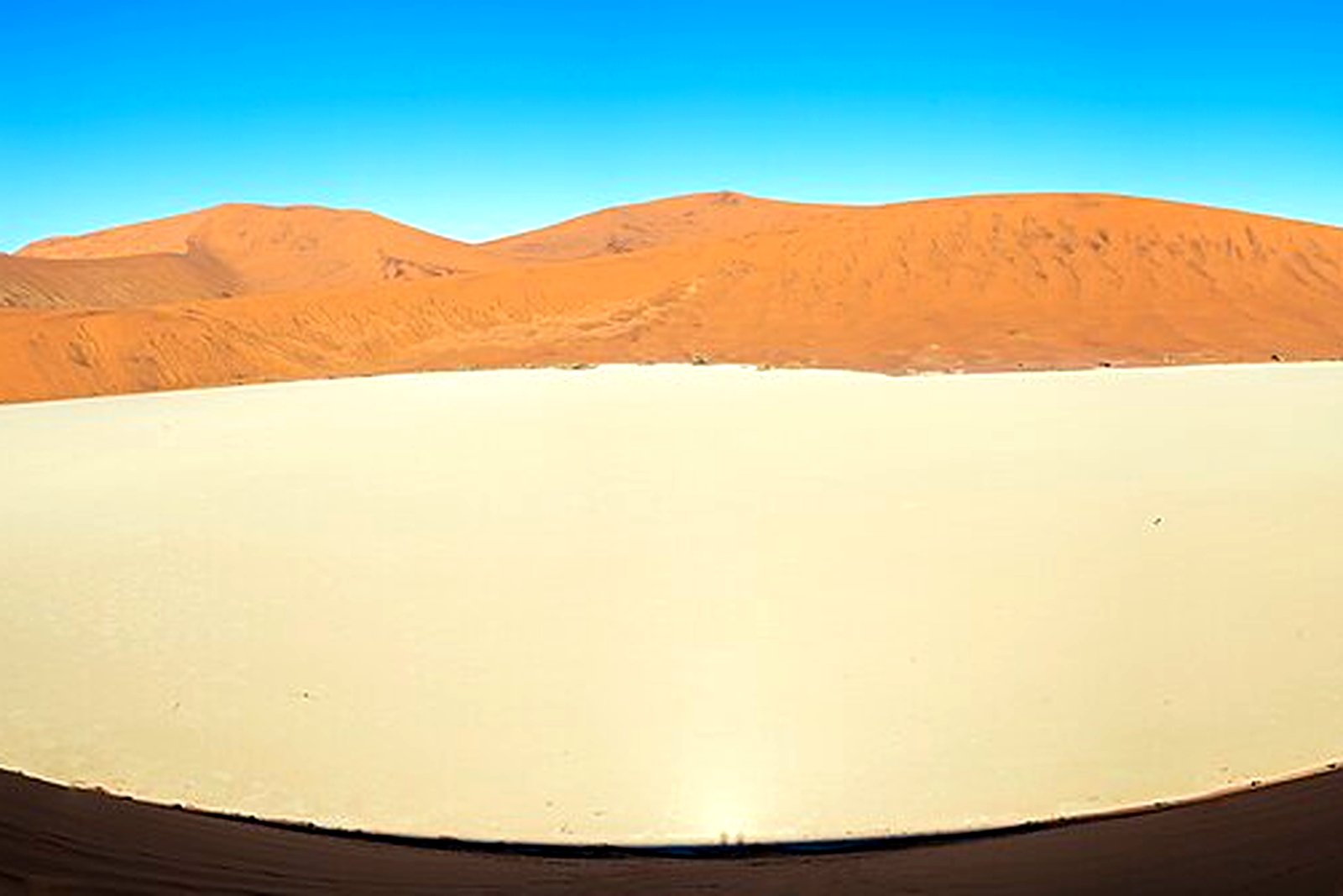 Deadvlei clay pan with dead camelthorn trees and towering dunes in Sossusvlei