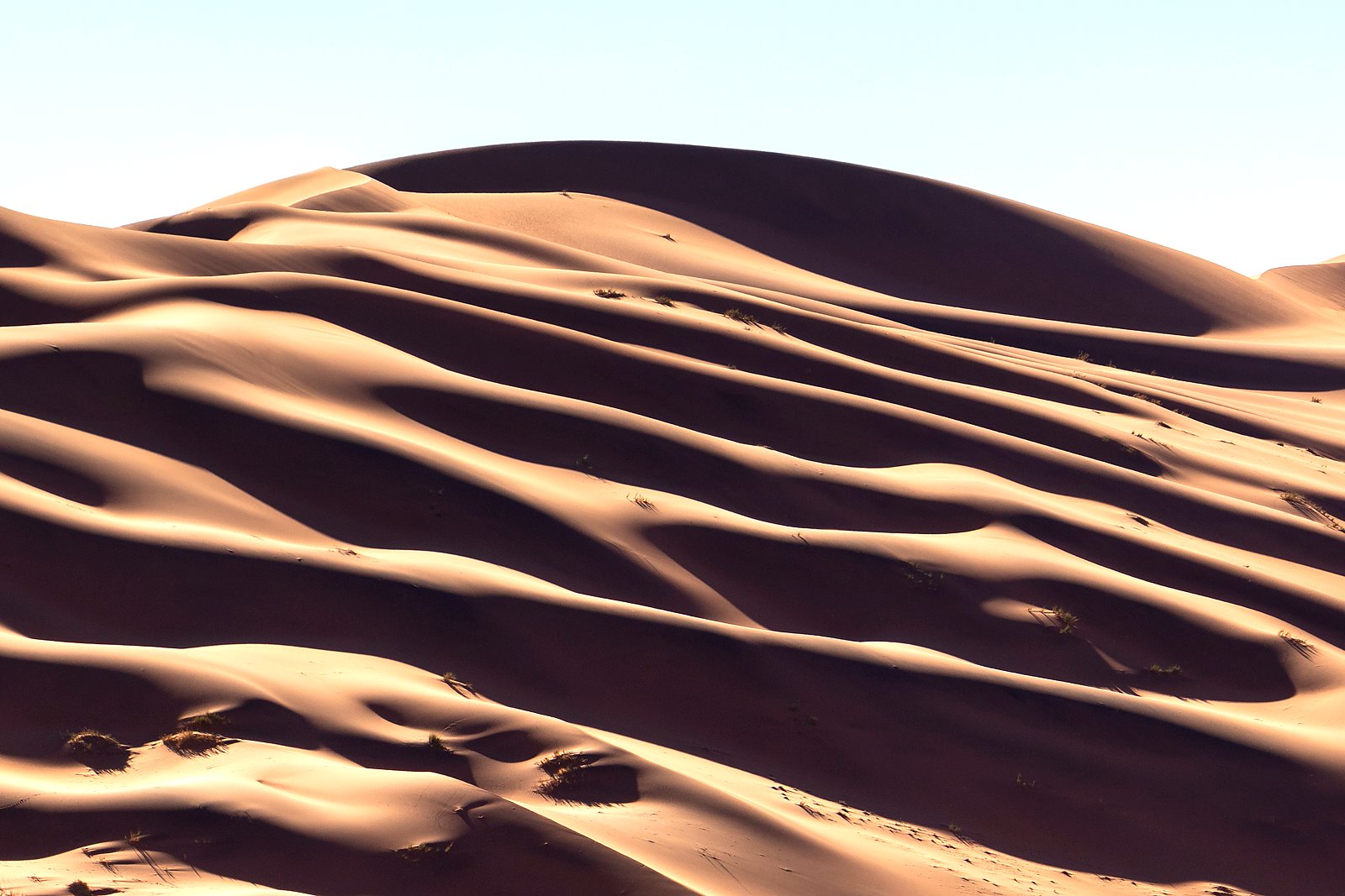 The vast horizon of the Namib Desert on a Namibia desert and wildlife safari package