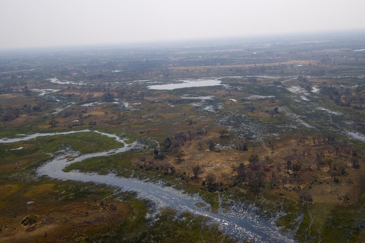 Aerial view of the Okavango Delta channels and islands — mokoro canoeing territory