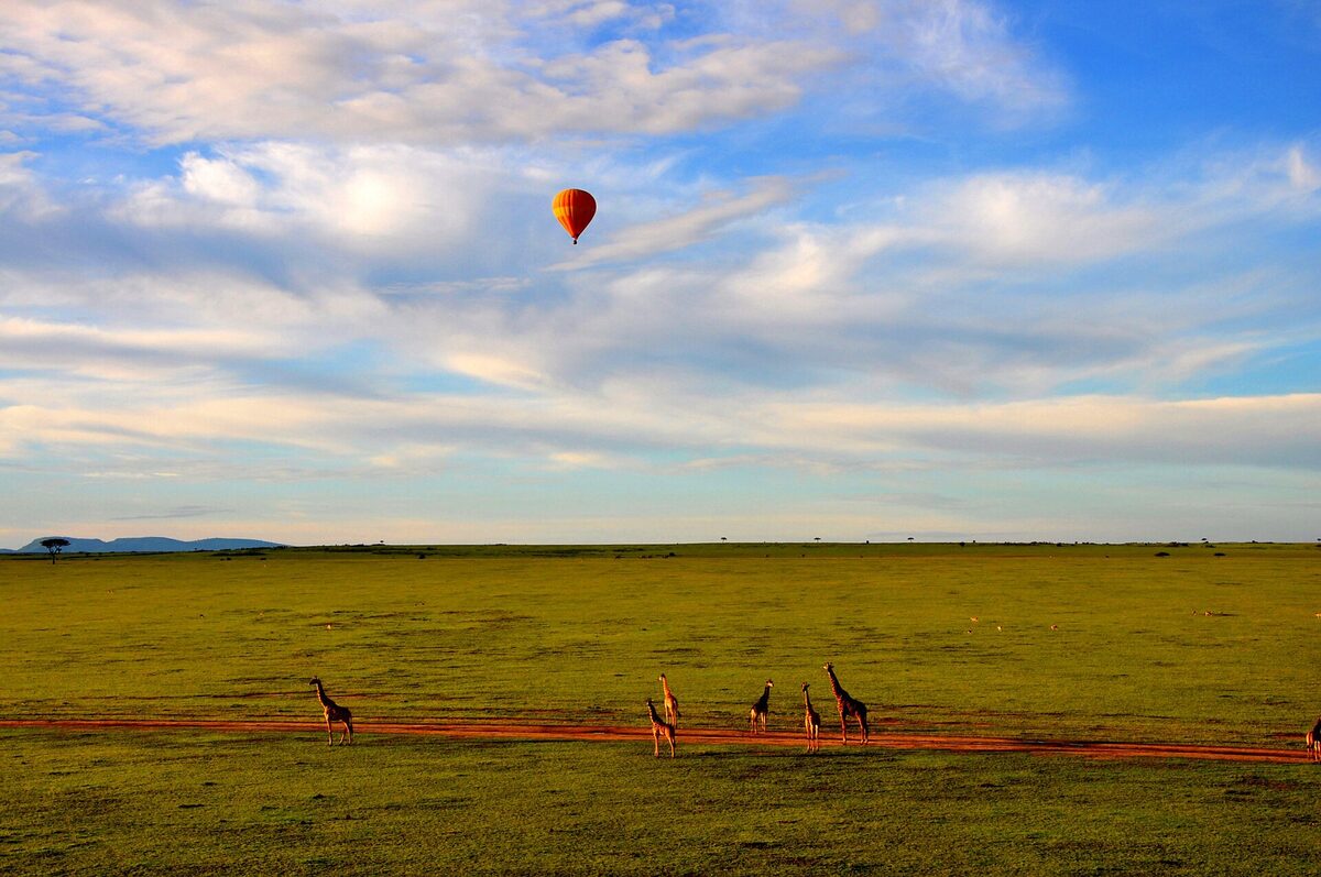 Hot-air balloon safari over the Masai Mara — combine gorilla trekking with an East African safari