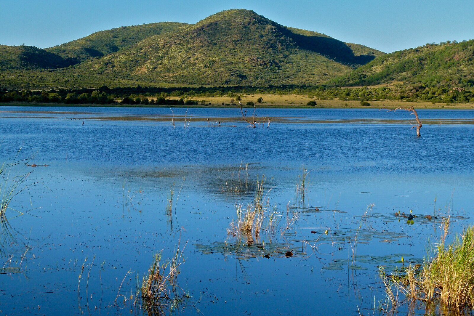 The scenic bushveld landscape of a malaria-free reserve near Johannesburg