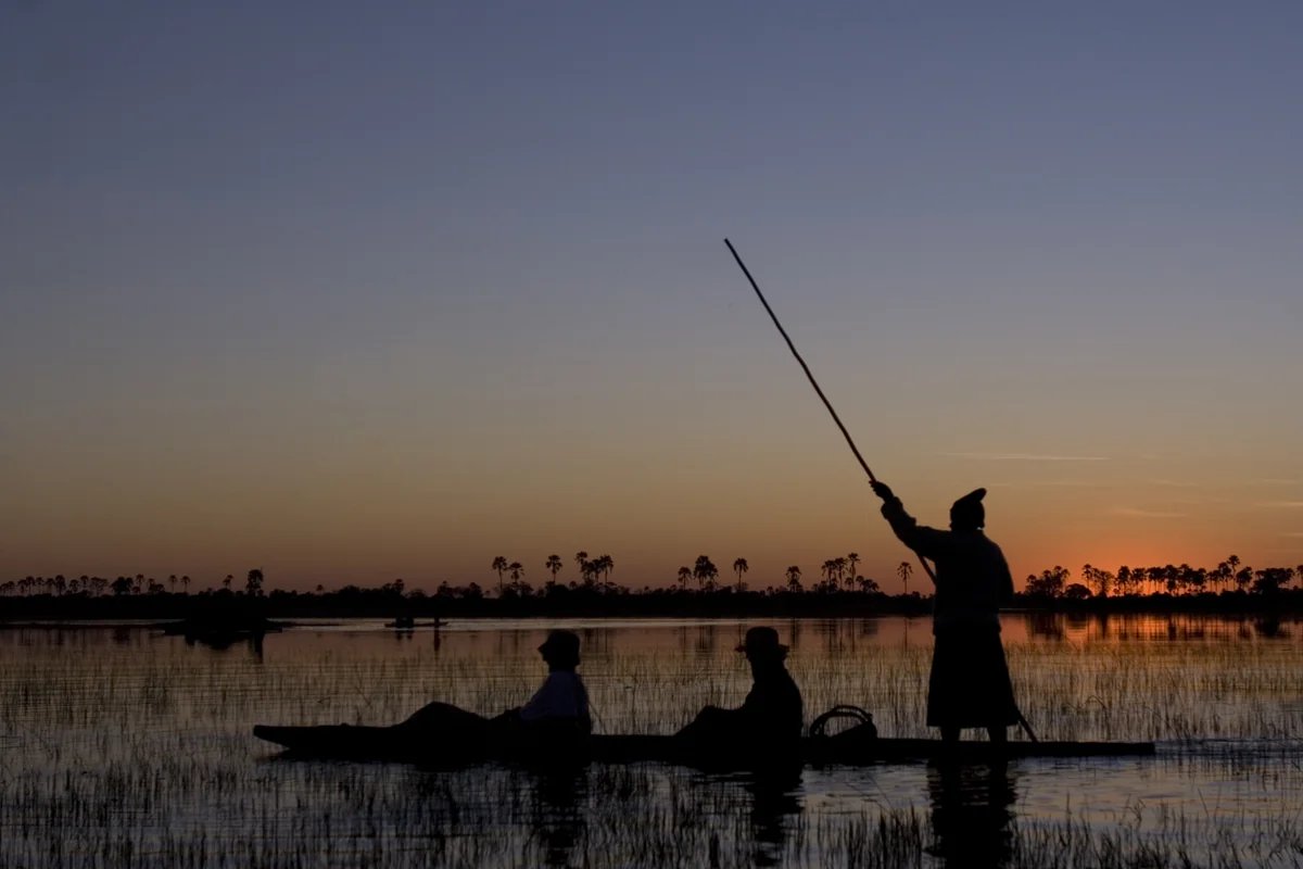 Wildlife in the Okavango Delta