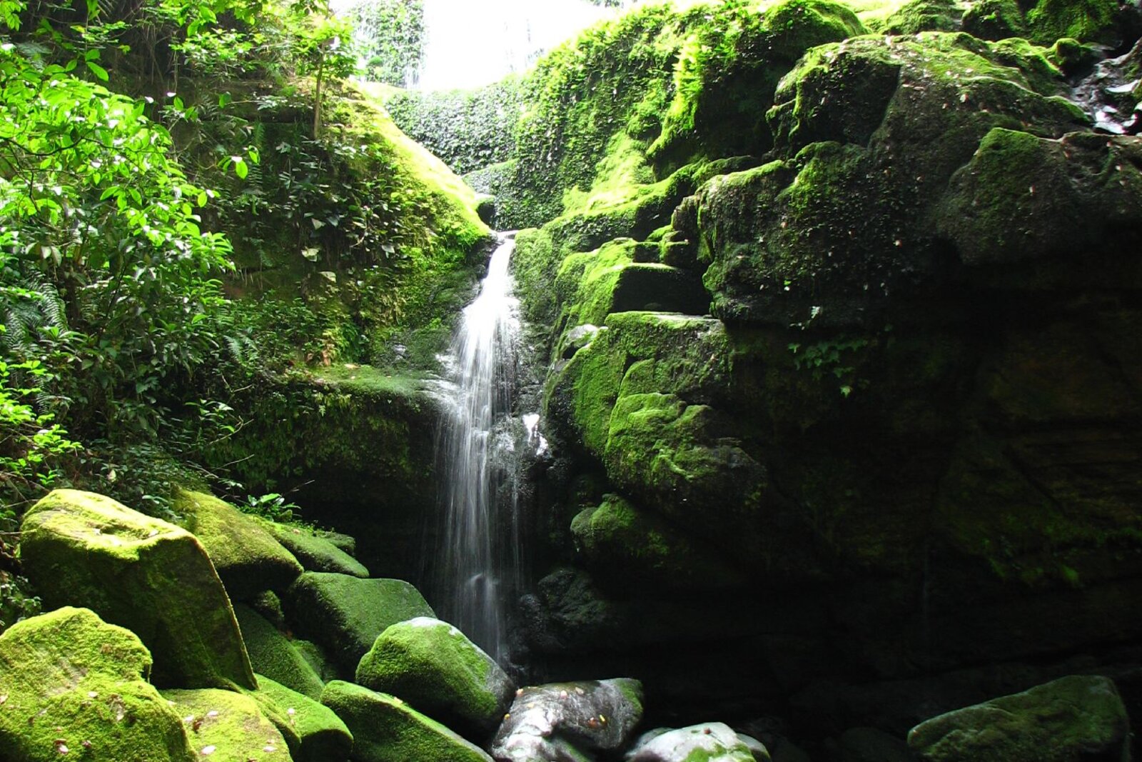 A rainforest waterfall in Ivindo, Gabon