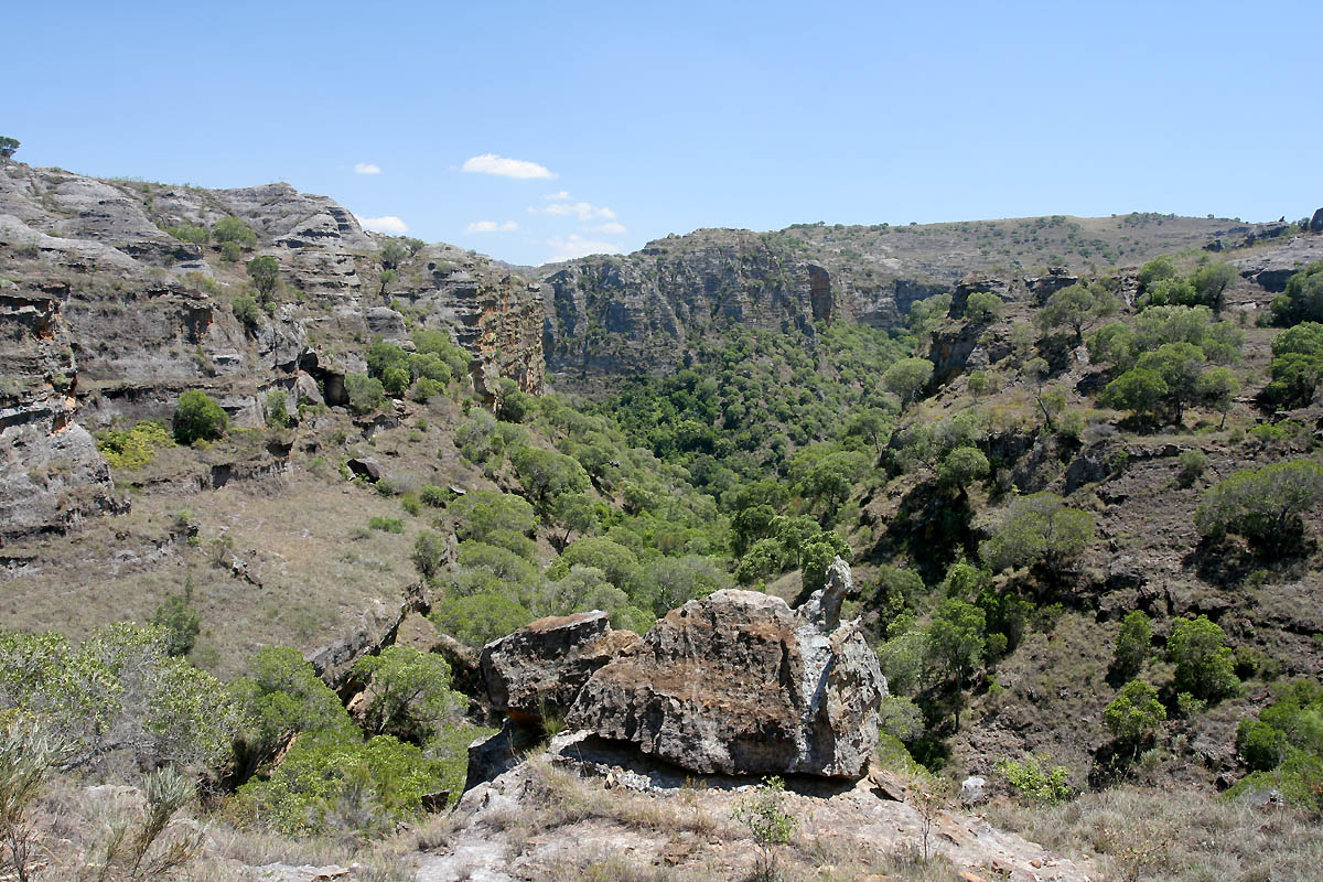 The sandstone canyons and natural pool of Isalo National Park — best visited May to October in the dry season