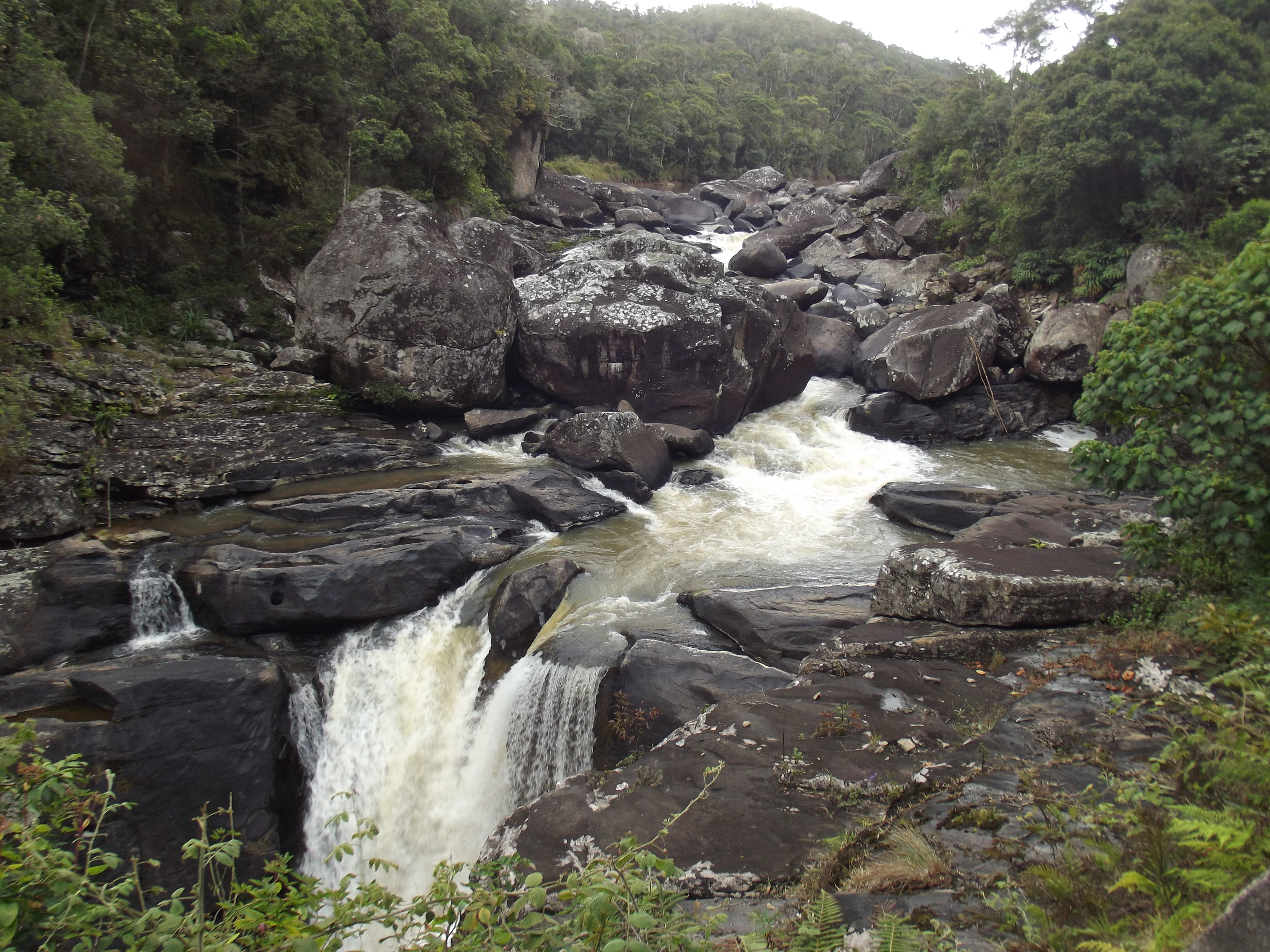 The Namorona River flowing through Ranomafana National Park rainforest — the wet season brings lush, vibrant green to Madagascar's eastern forests