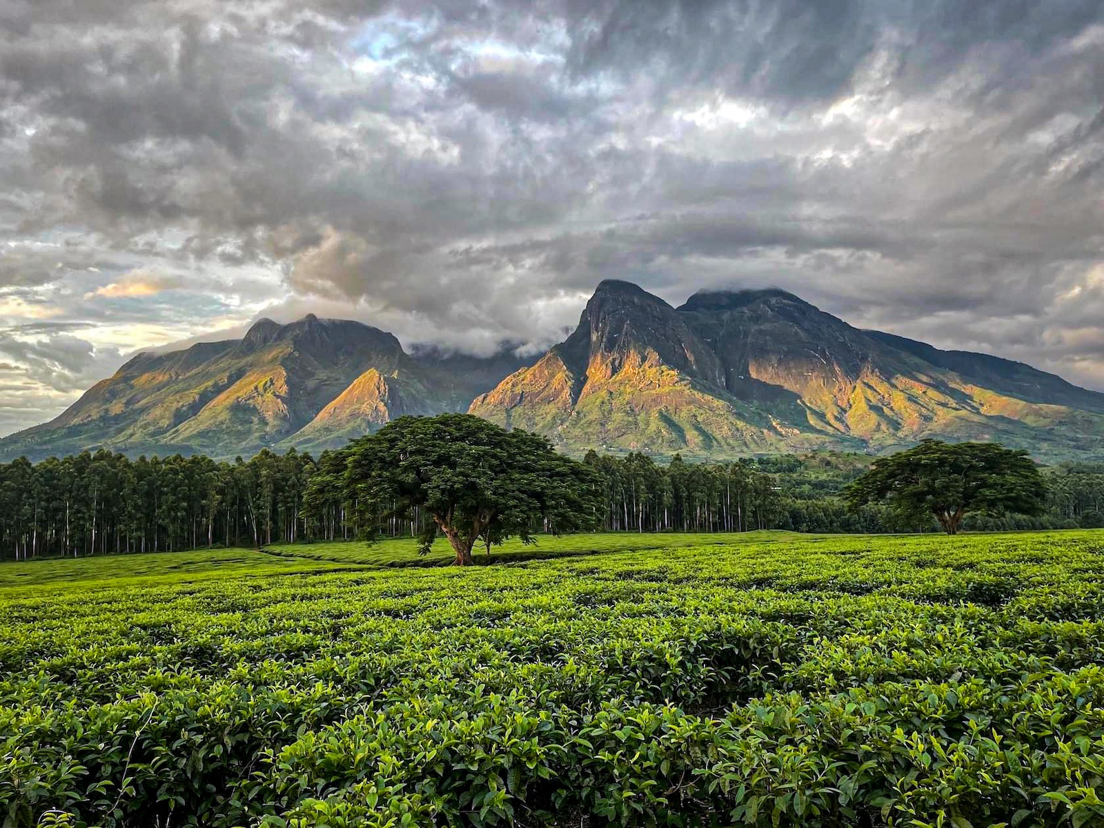 The dramatic granite massif of Mount Mulanje in southern Malawi — best hiked in the dry season, May to October