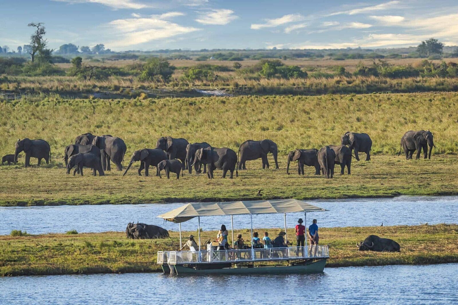 An elephant on the Chobe River, one of the Big Five