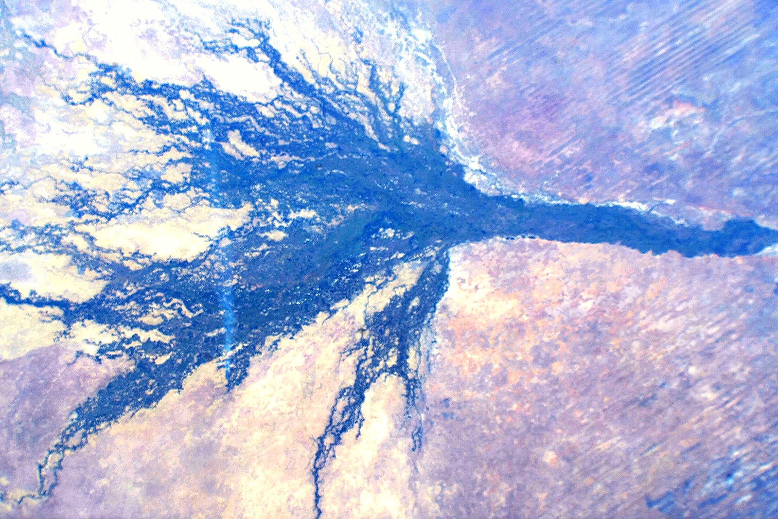Okavango Delta channels in January green season
