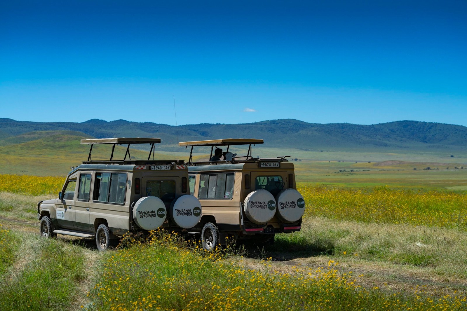 Safari vehicles on the green floor of the Ngorongoro Crater