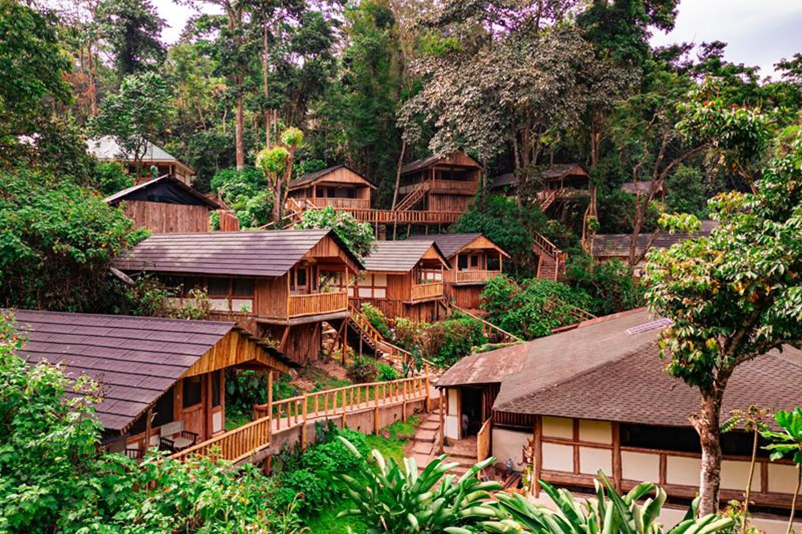 Buhoma Lodge bandas nestled among the trees of the Bwindi Impenetrable Forest