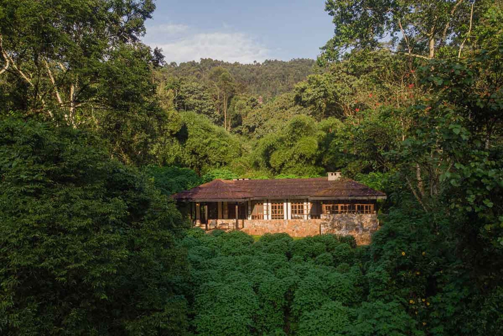 A forest-edge lodge tucked into the green above Bwindi Impenetrable National Park