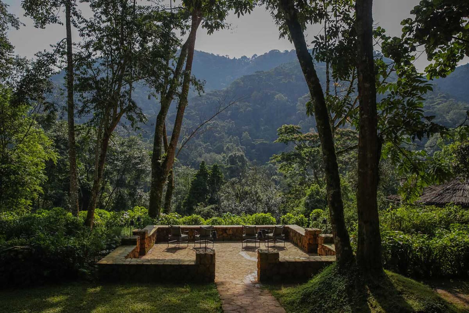 A terrace looking out over the impenetrable forest of Bwindi, Uganda