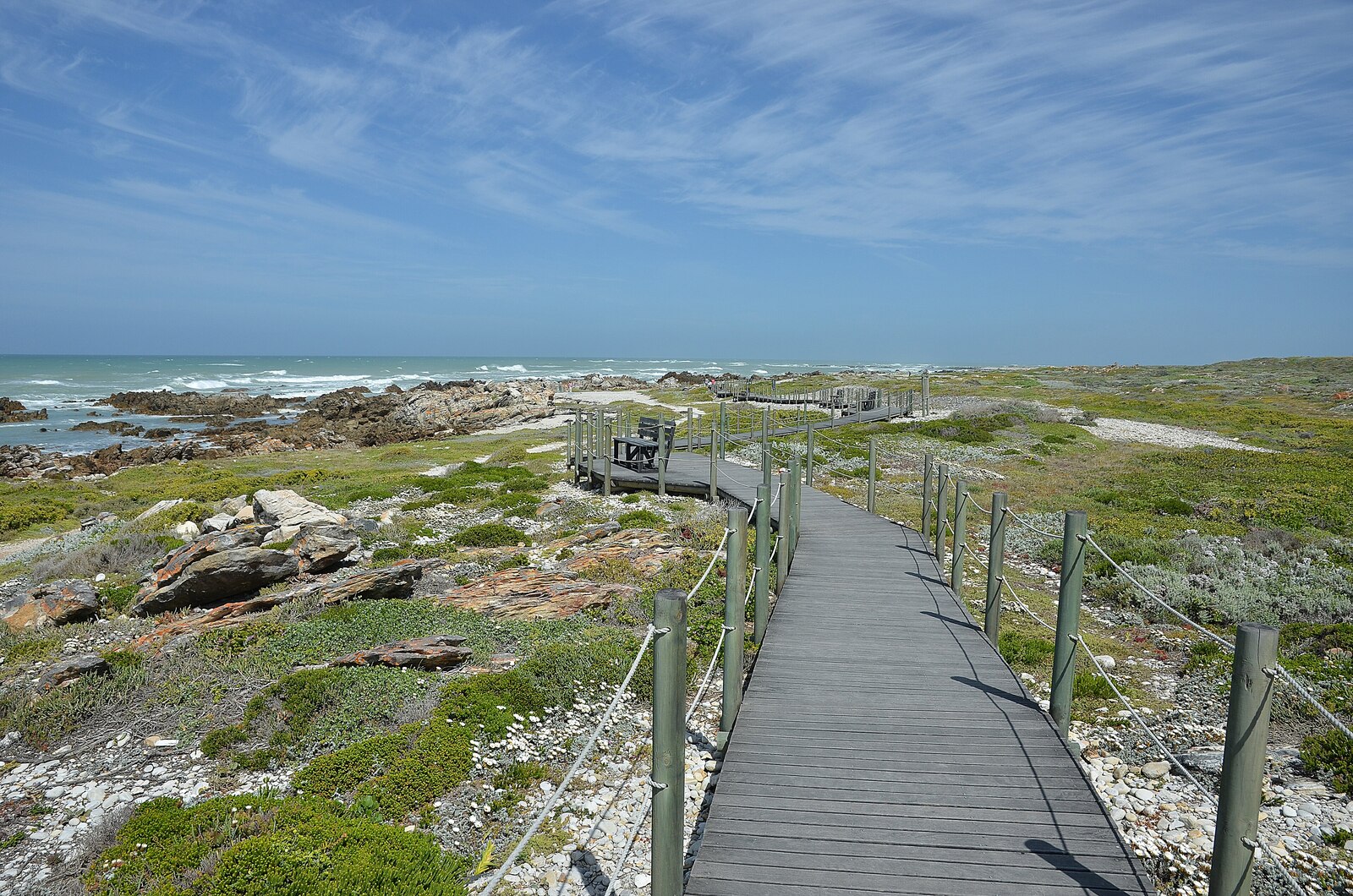 The boardwalk through fynbos leading to the tip in Agulhas National Park