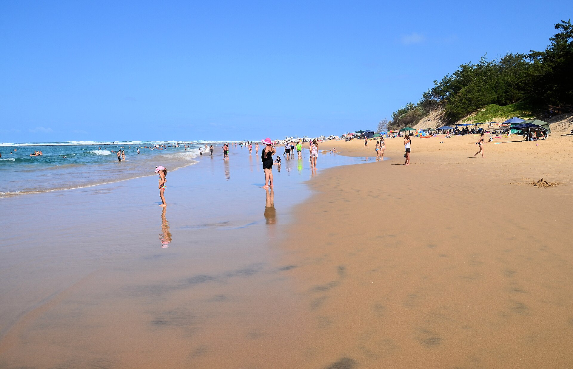A pristine, forest-backed beach on the Indian Ocean at Cape Vidal