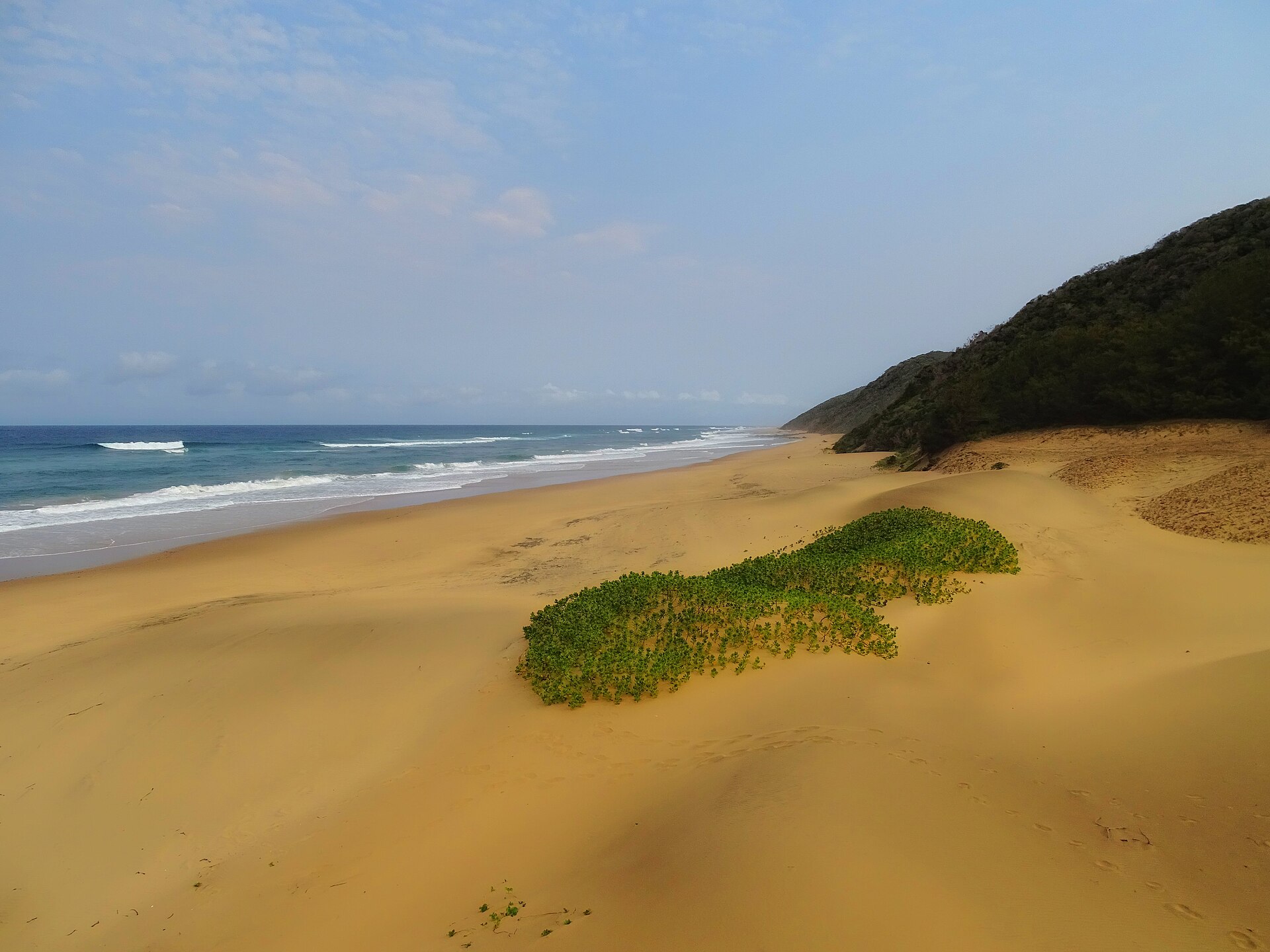 Forested dunes rising behind the coastline on the Eastern Shores of iSimangaliso
