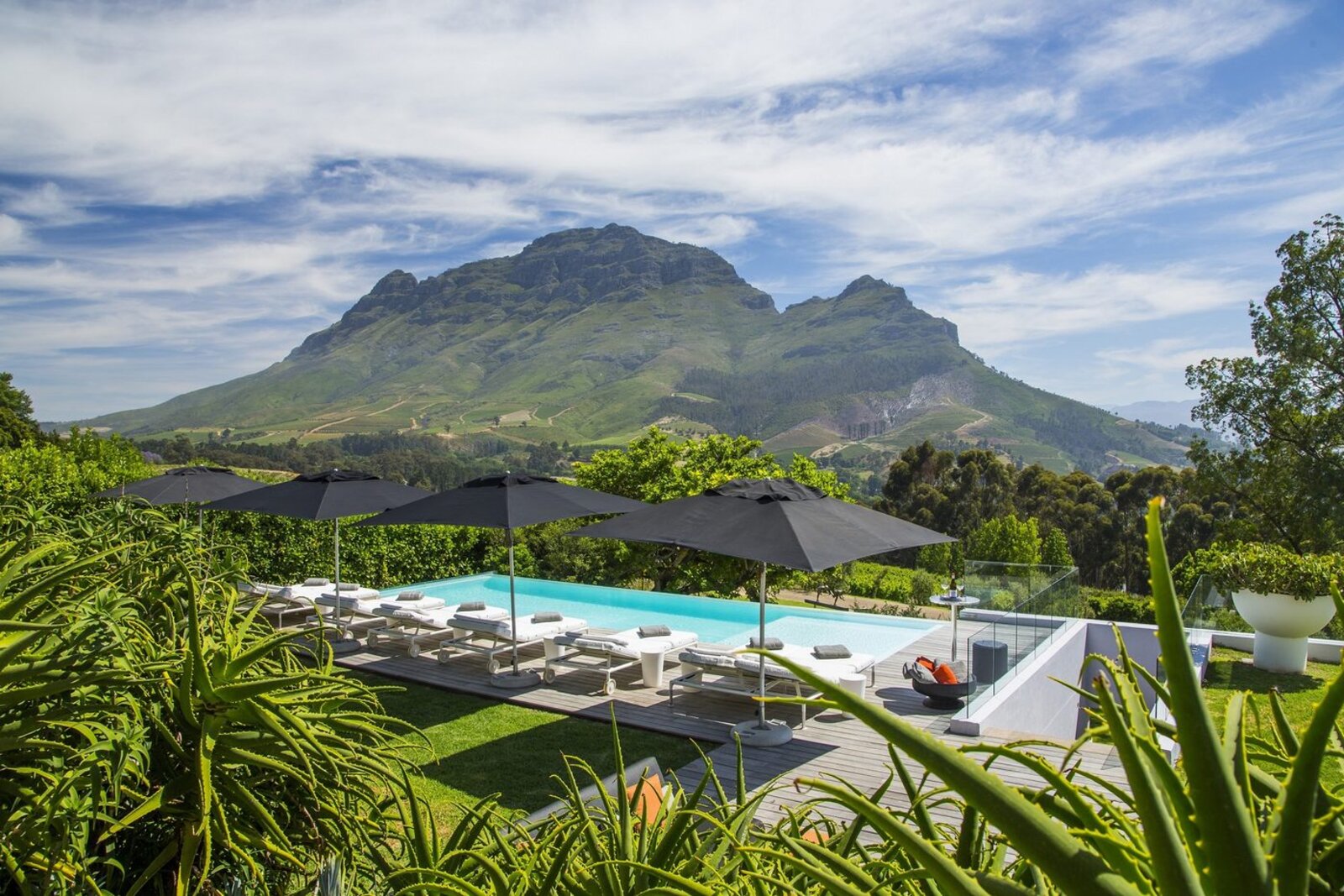 Infinity pool at a five-star Cape Winelands boutique estate with mountain views