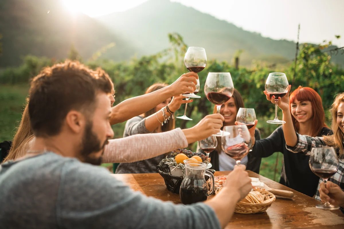 Friends wine tasting in the Cape Winelands