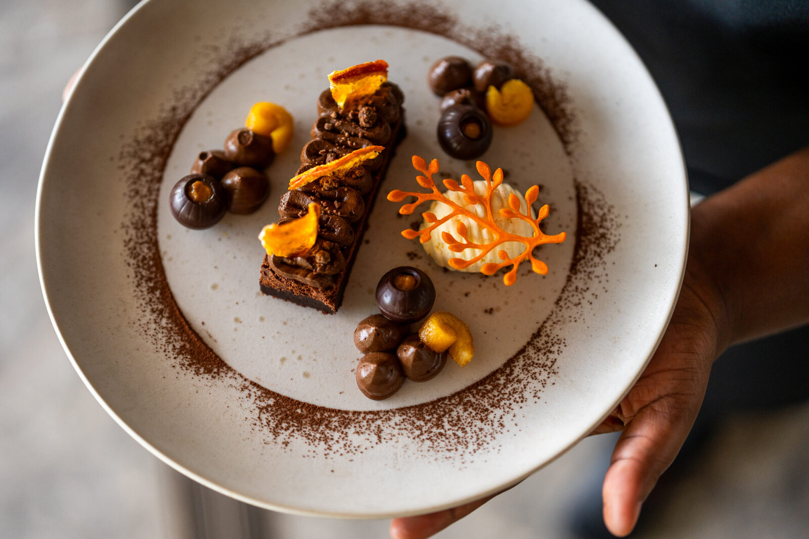 A beautifully plated chocolate dessert with dusted cocoa and garnish at Cheetah Plains