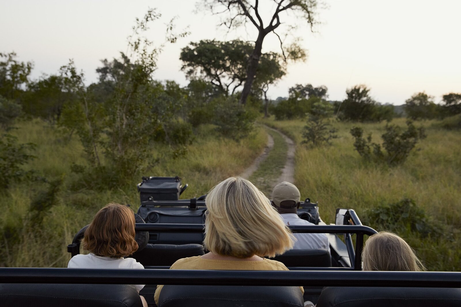 Guests seated in an electric game-drive vehicle watching the bush on a track in the Sabi Sand