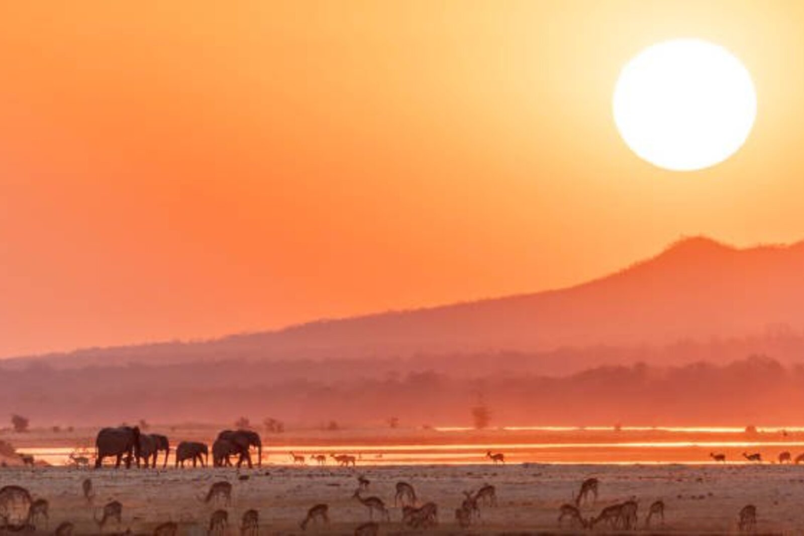 Sunset over the Chobe River