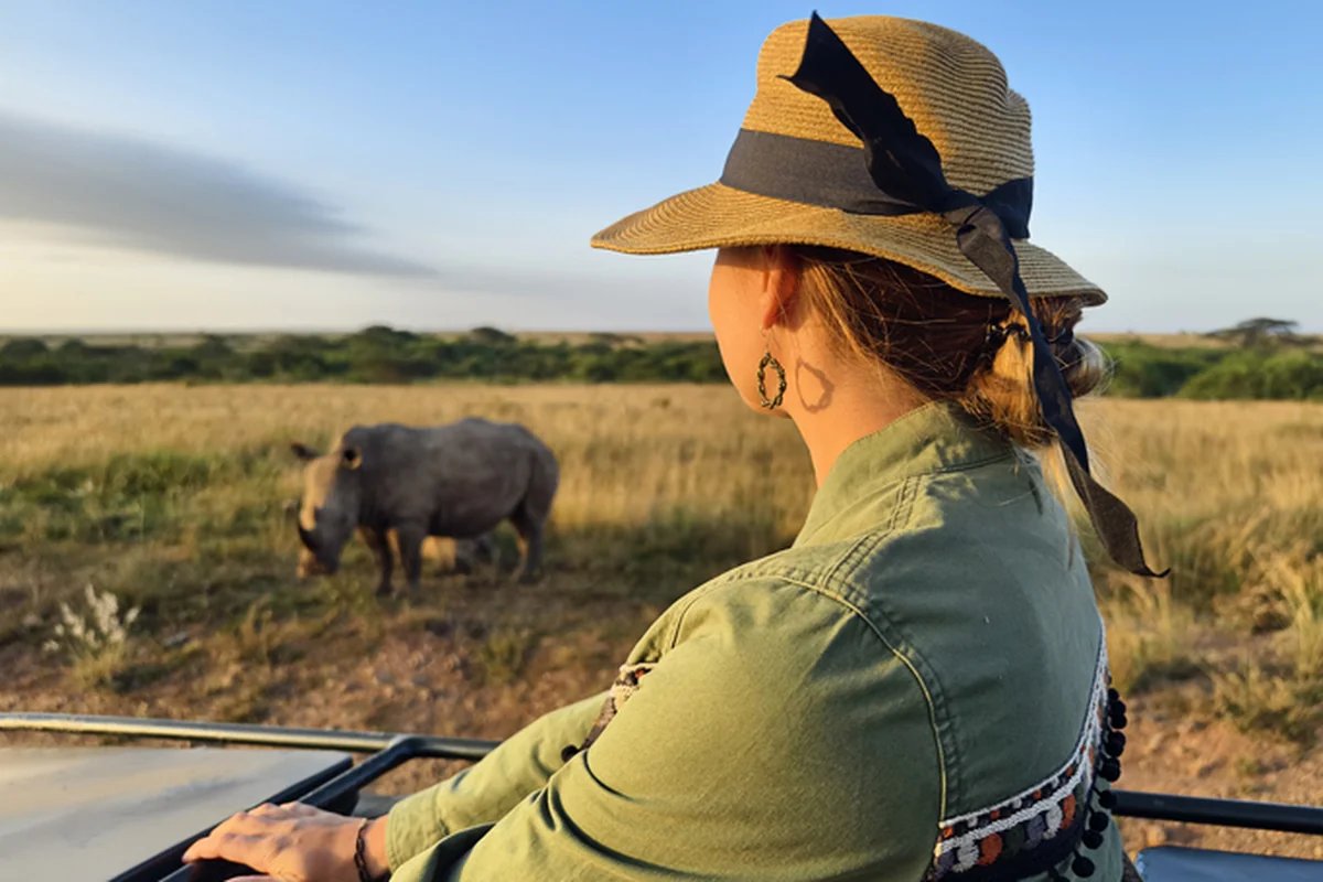 White rhino on a game drive, KwaZulu-Natal