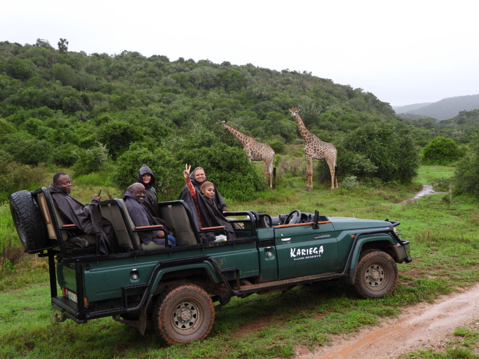 Guests on a game drive watching giraffe at an Eastern Cape private reserve