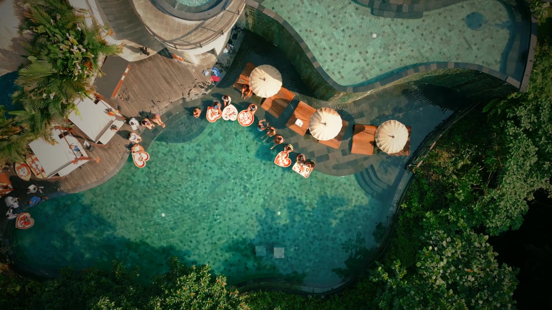 A luxury safari lodge with a pool overlooking the Eastern Cape bush