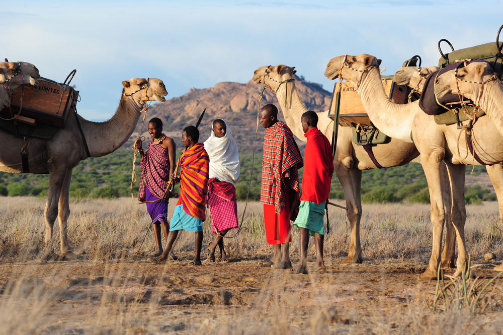 Toka Leya — Mosi-oa-Tunya, Zambia — Beyond Africa Safaris