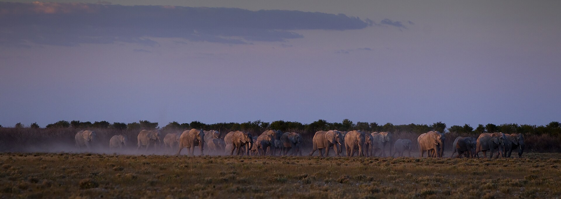 Nkwali Camp — South Luangwa, Zambia — Beyond Africa Safaris