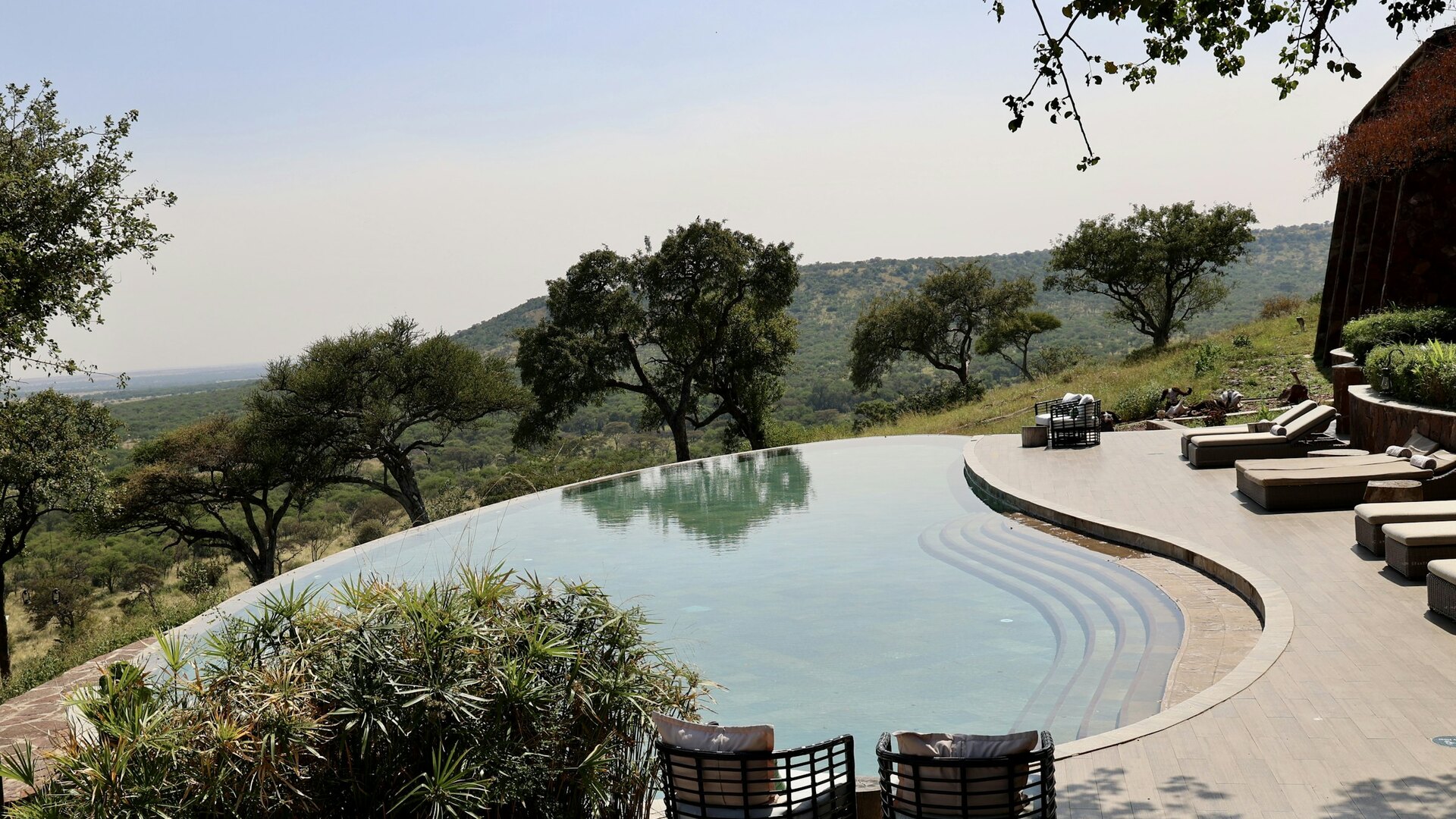 Family lodge swimming pool overlooking the bushveld in Sabi Sands