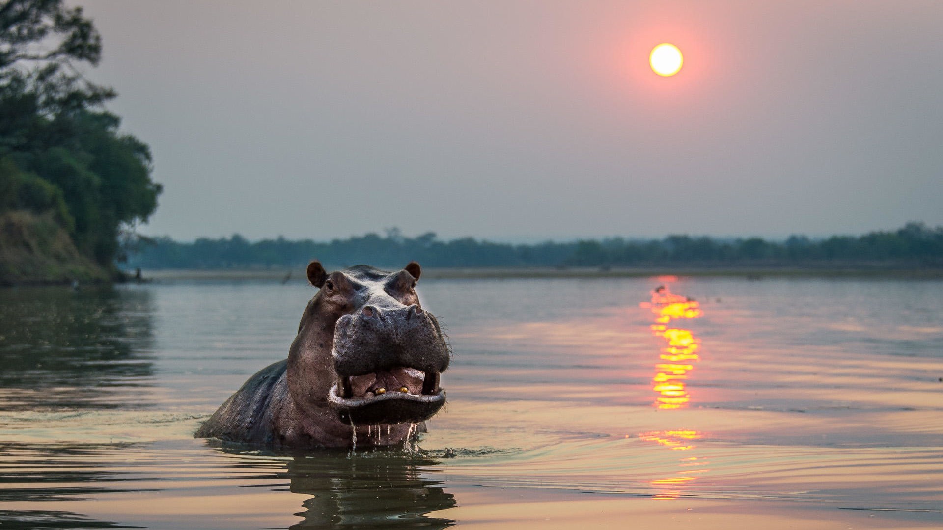 A safari camp overlooking the Luangwa river