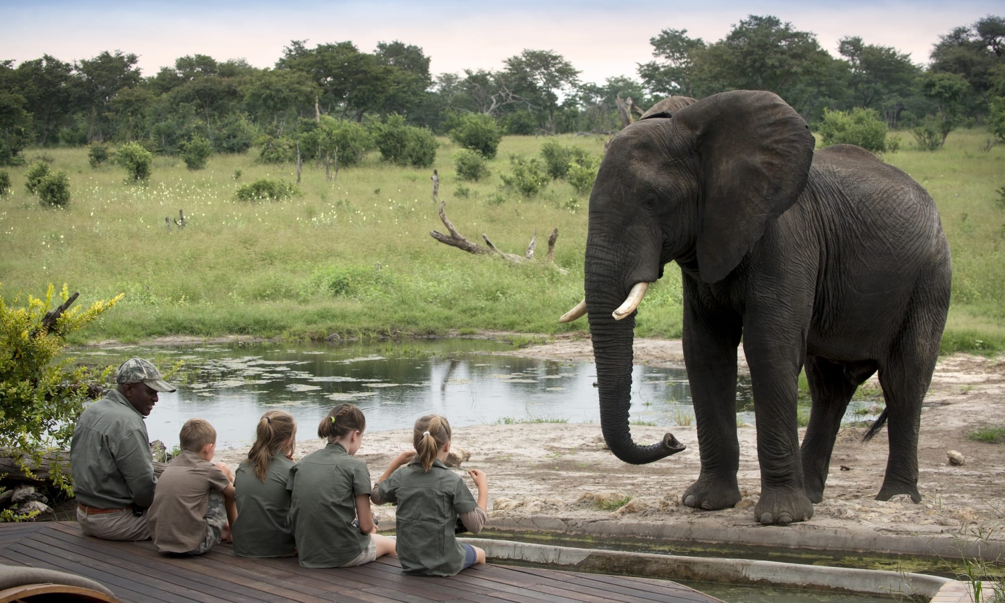 A family-friendly elephant encounter in the Hwange ecosystem