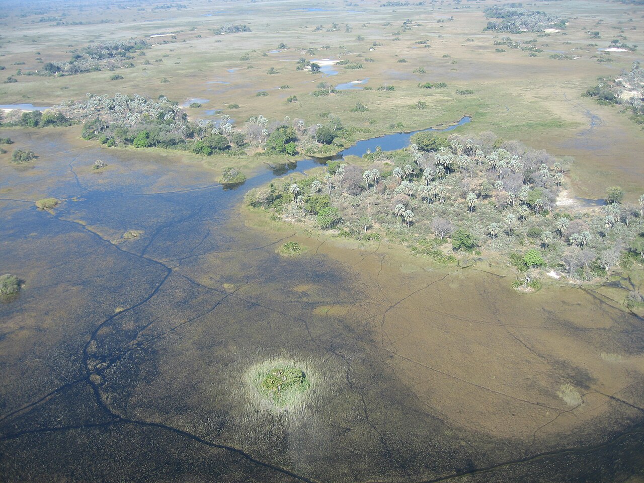 Aerial view of the Okavango Delta's channels and islands — Africa's premier fishing water