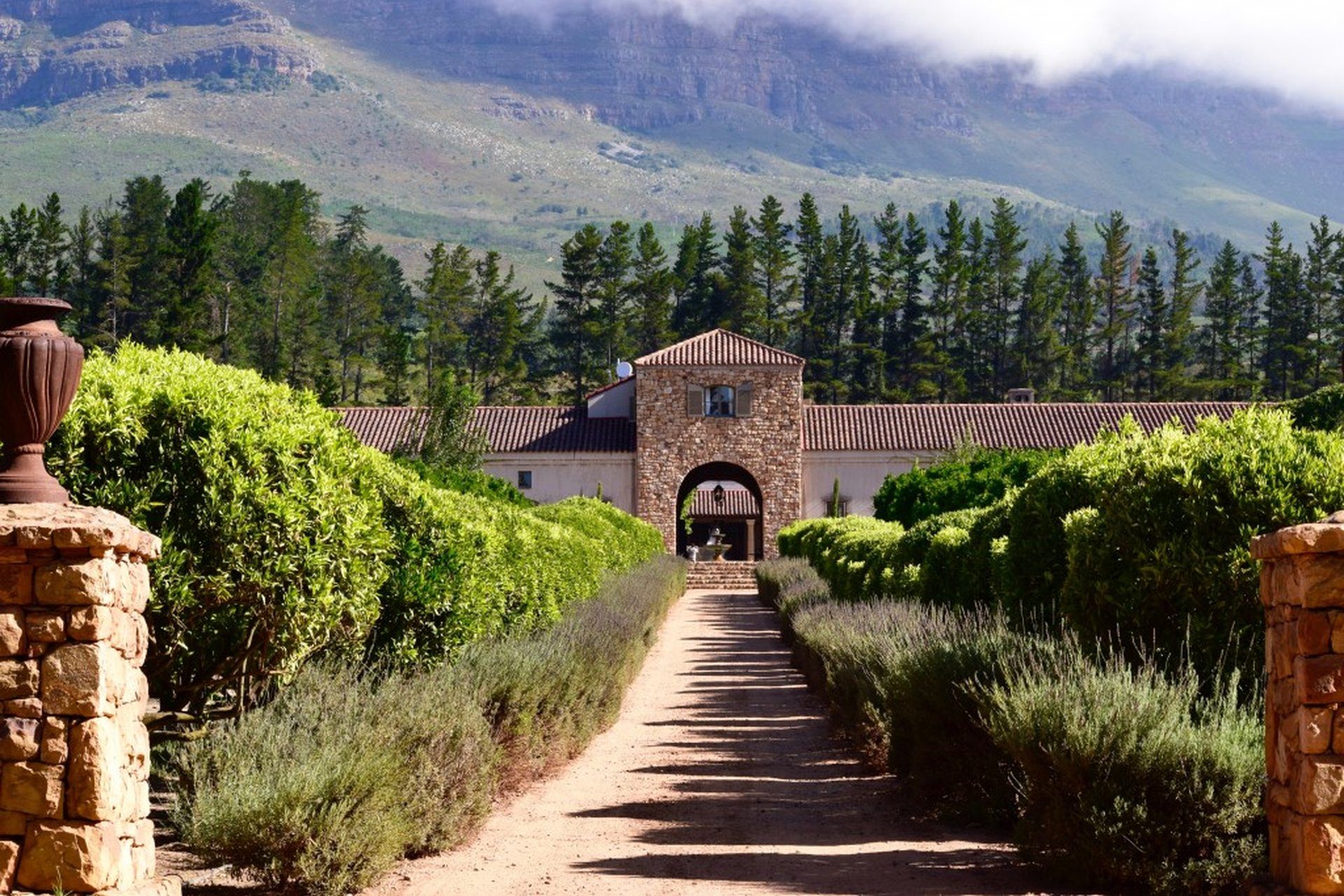 A Cape Dutch wine estate among vineyards in the Cape Winelands