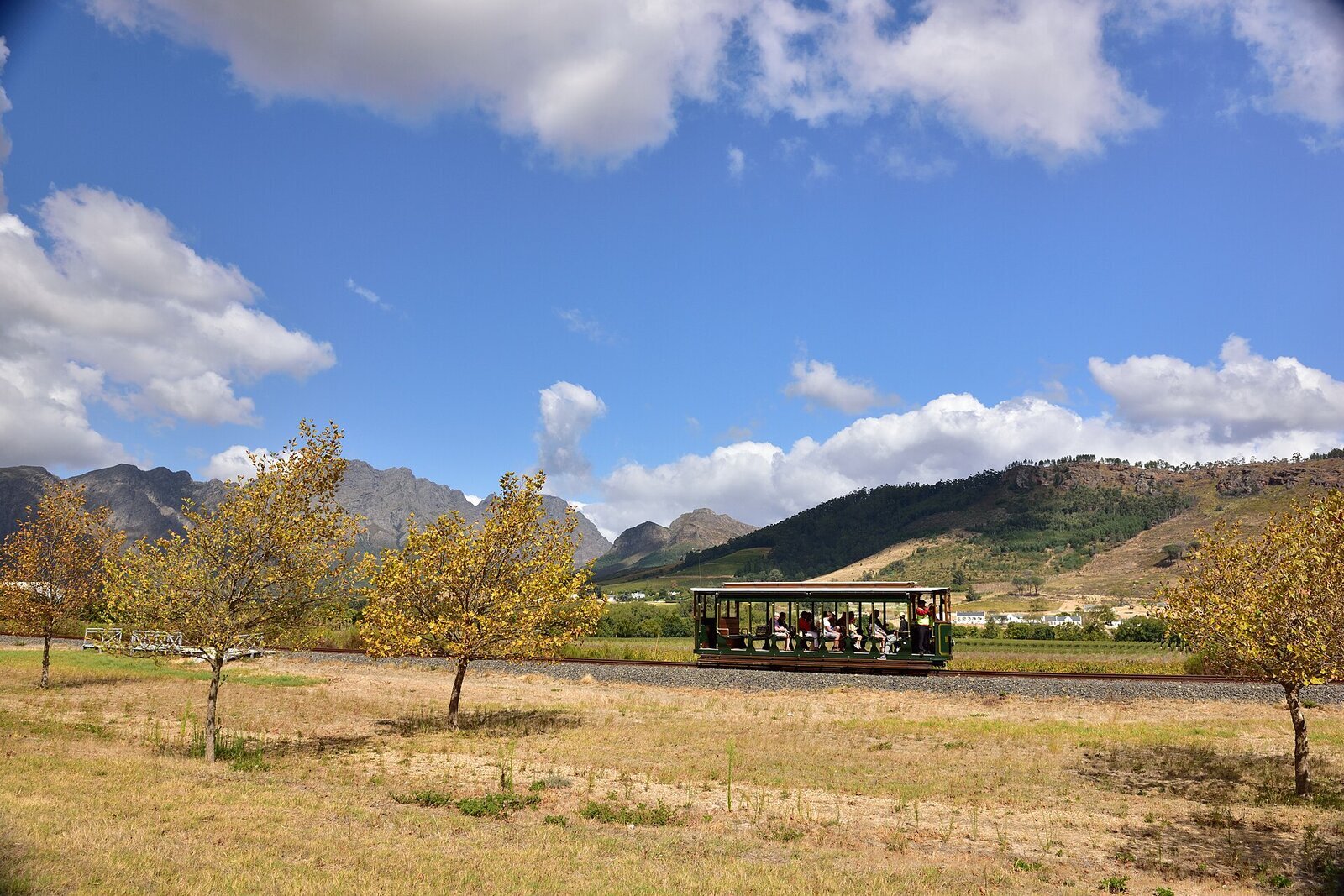 The Franschhoek Wine Tram passing through the vineyards