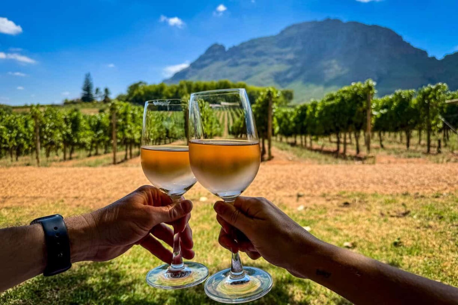 Wine tasting on an estate terrace in Franschhoek