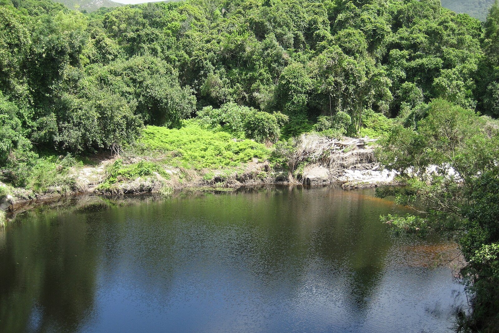 The lagoon and beach at Wilderness at golden hour on the Garden Route