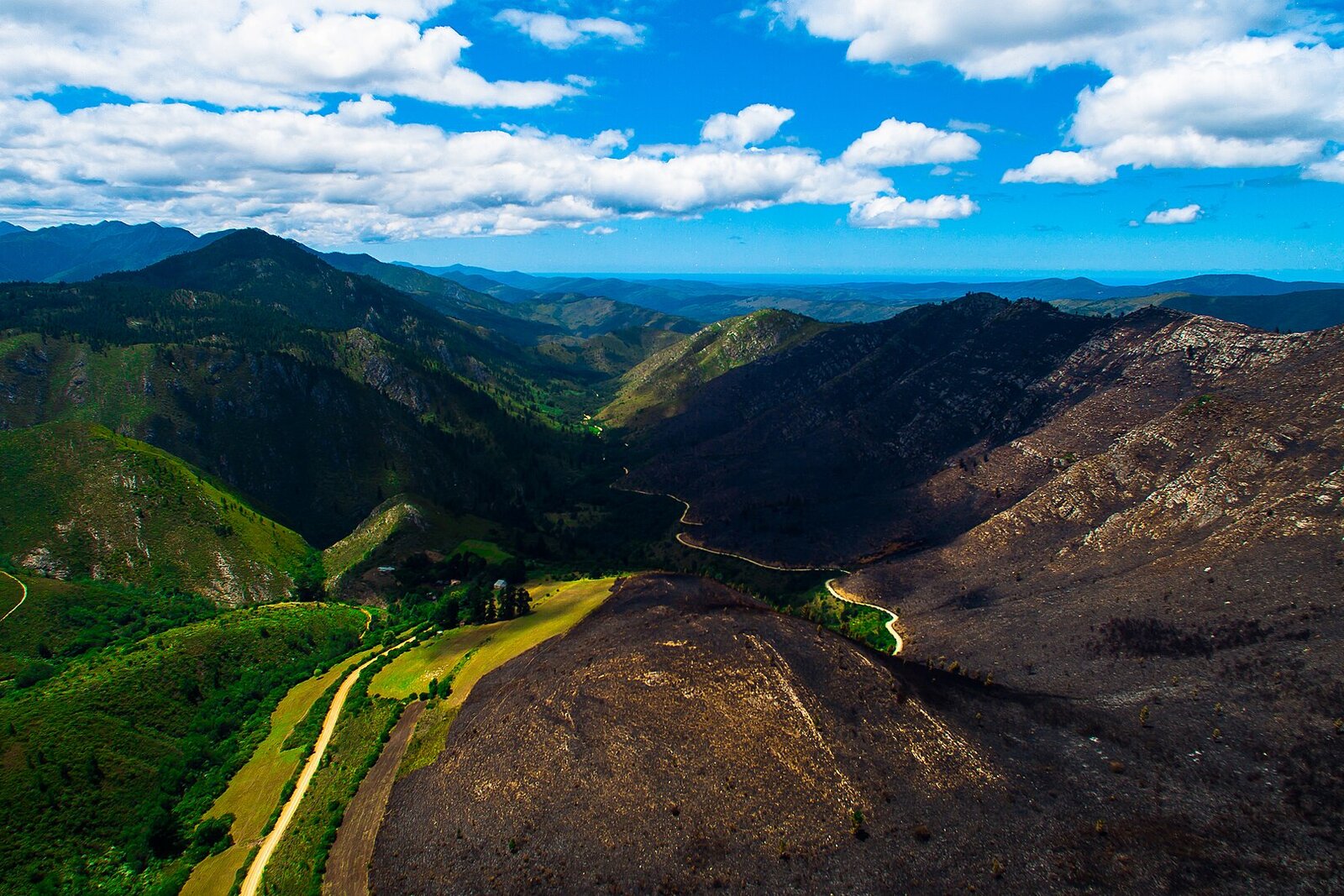 A car crossing the Outeniqua mountain pass at golden hour on the Garden Route