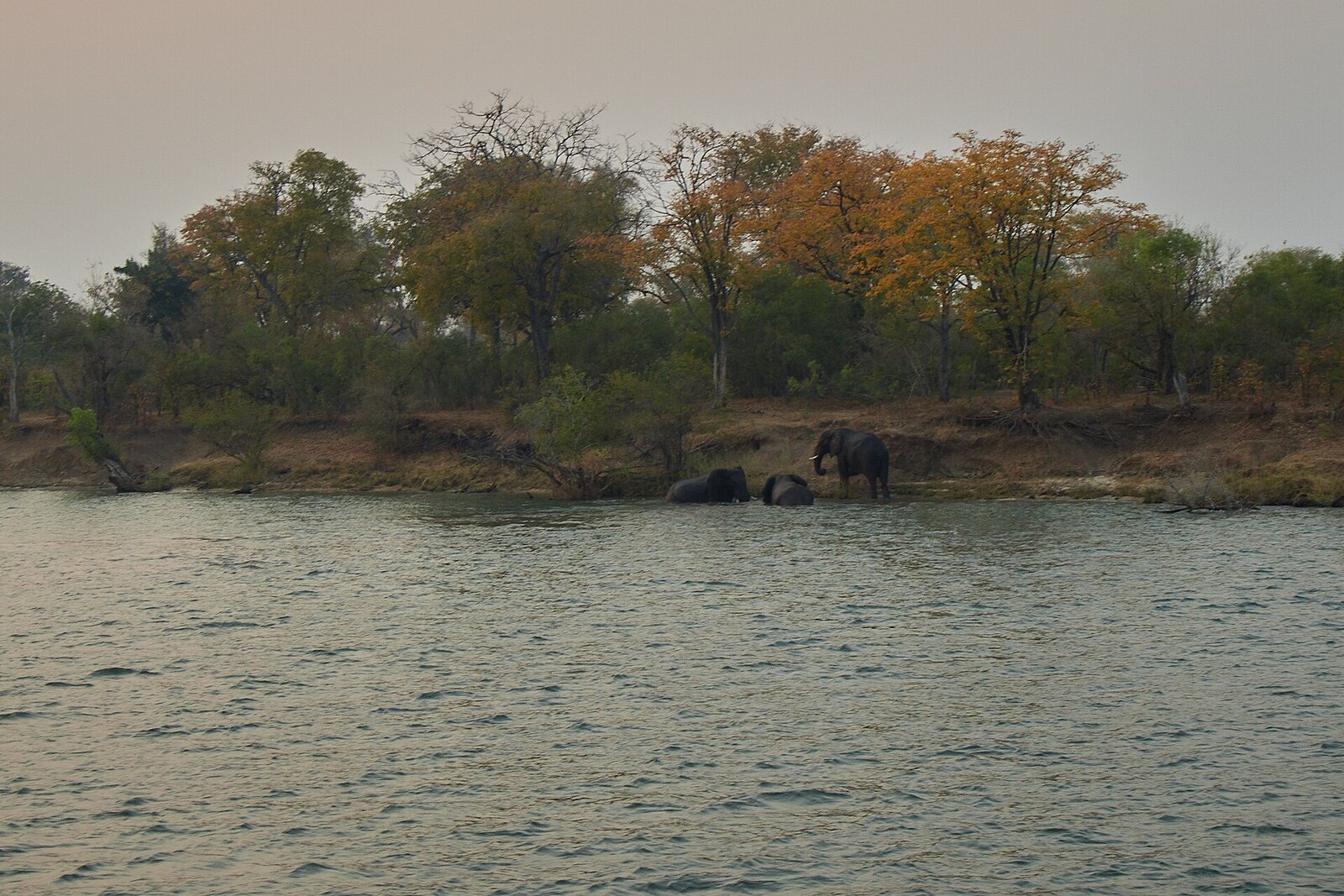 The Batoka Gorge and the Zambezi River seen far below from Gorges Lodge