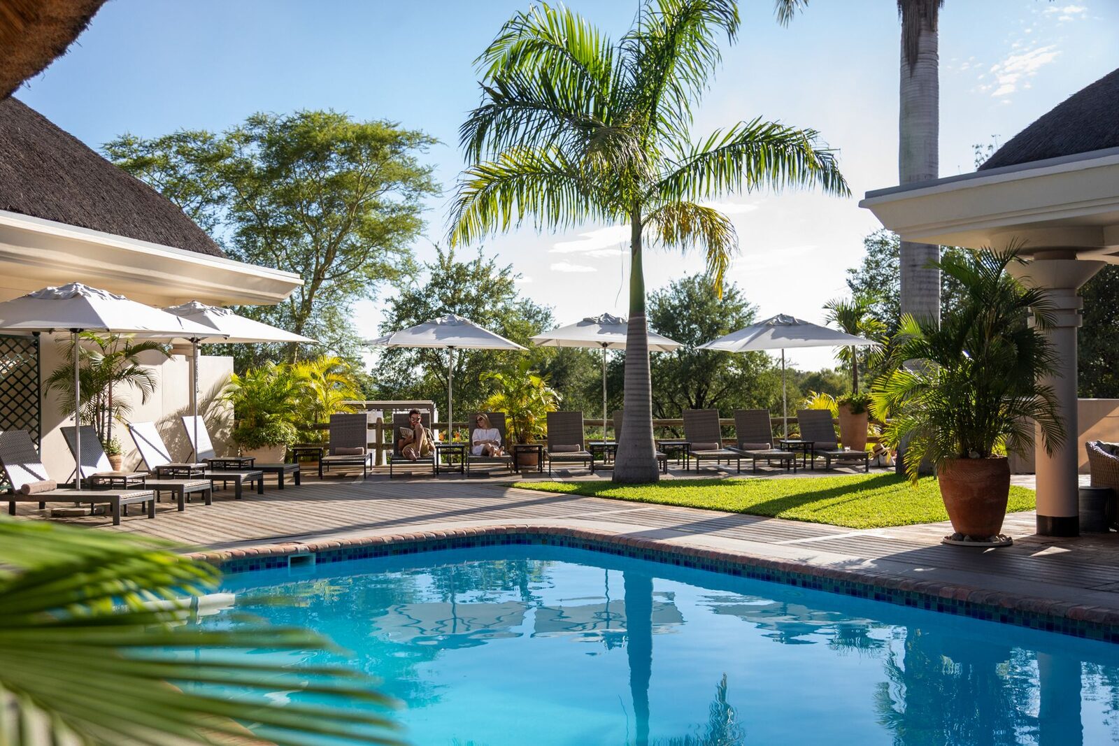 Warthogs grazing on the lawns beside the colonnade wing at Ilala Lodge, Victoria Falls