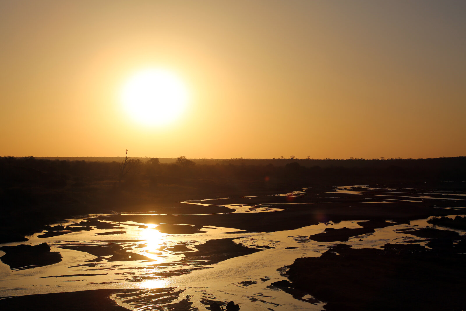 The lowveld bushveld glowing at sunrise