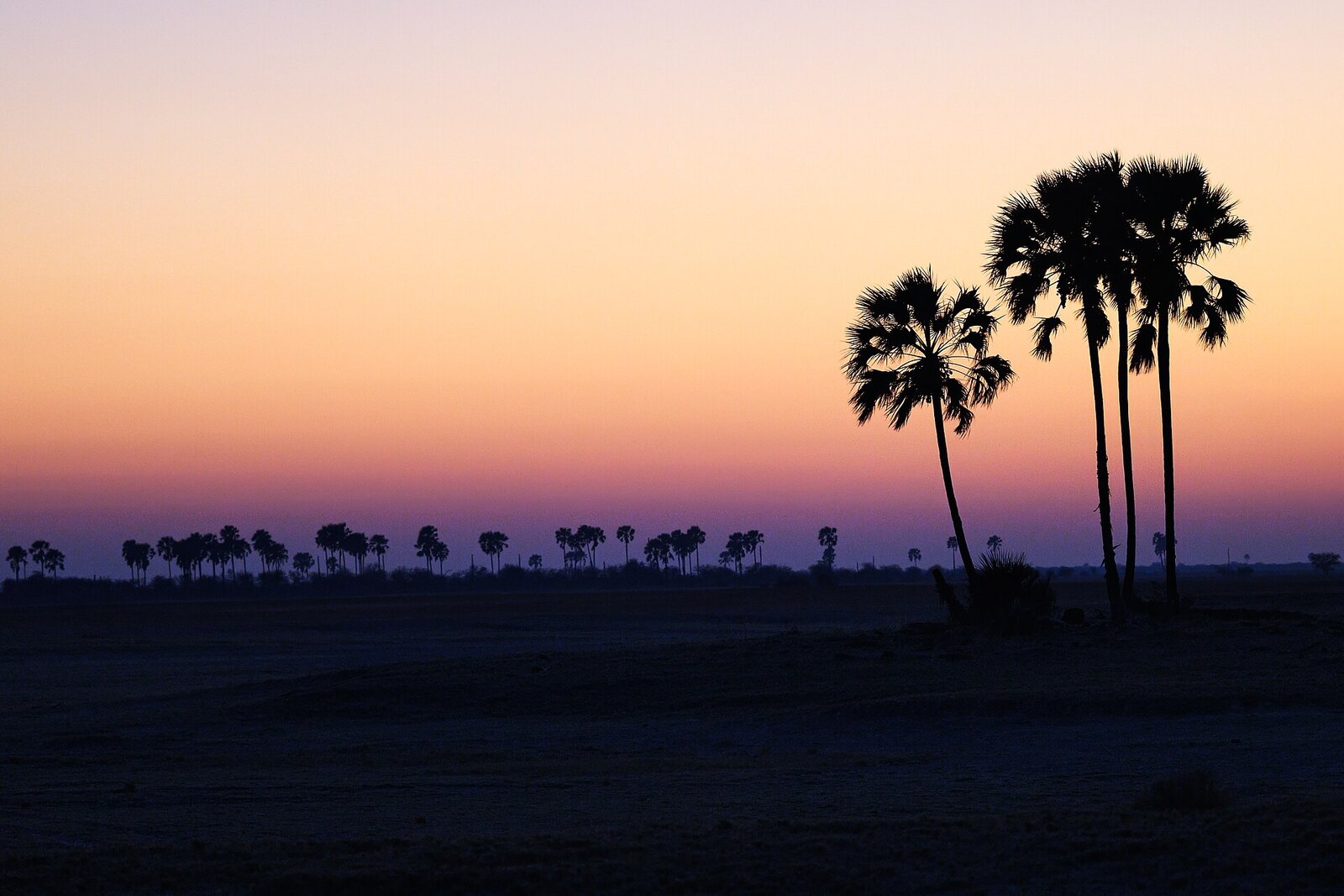 Makgadikgadi salt pans at sunrise &mdash; a surreal desert horizon